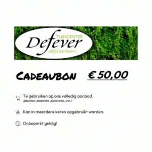 Cadeaubon €50