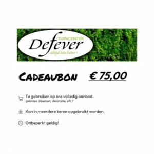 Cadeaubon €75