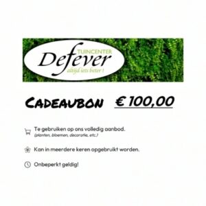 Cadeaubon €100